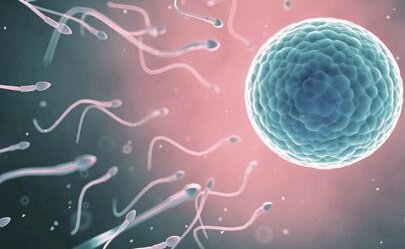 试管婴儿治疗全程费用概览，了解一次完整周期的总花销