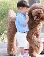 正常夫妻三代试管婴儿费用具体花多少？