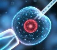 苏州试管医院排名怎么样？附详细成功率