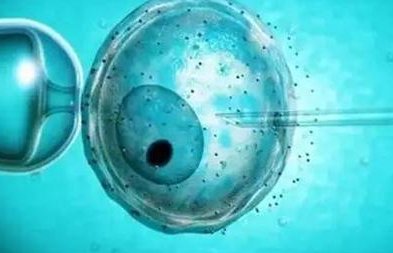 45岁试管成功率预计多少？45岁女性做试管的参考经验