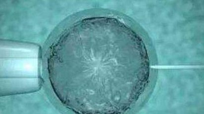 从做试管开始到移植好孕后体重增加5.6斤正常吗？