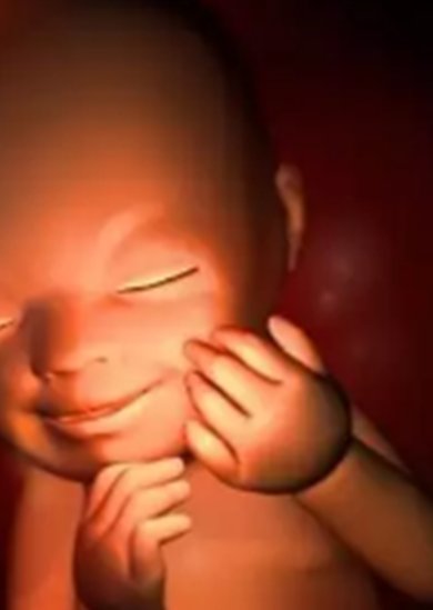 西宁能做试管婴儿的医院排名，试管费用是多少？