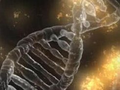 2026湖南正规合法试管医院排行推荐